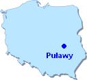 Puawy