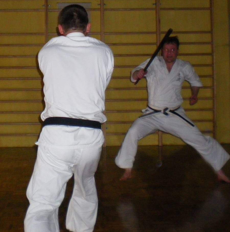 Jiyu-kumite