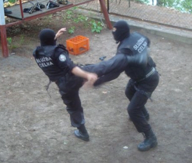 Serpelice Serpelice