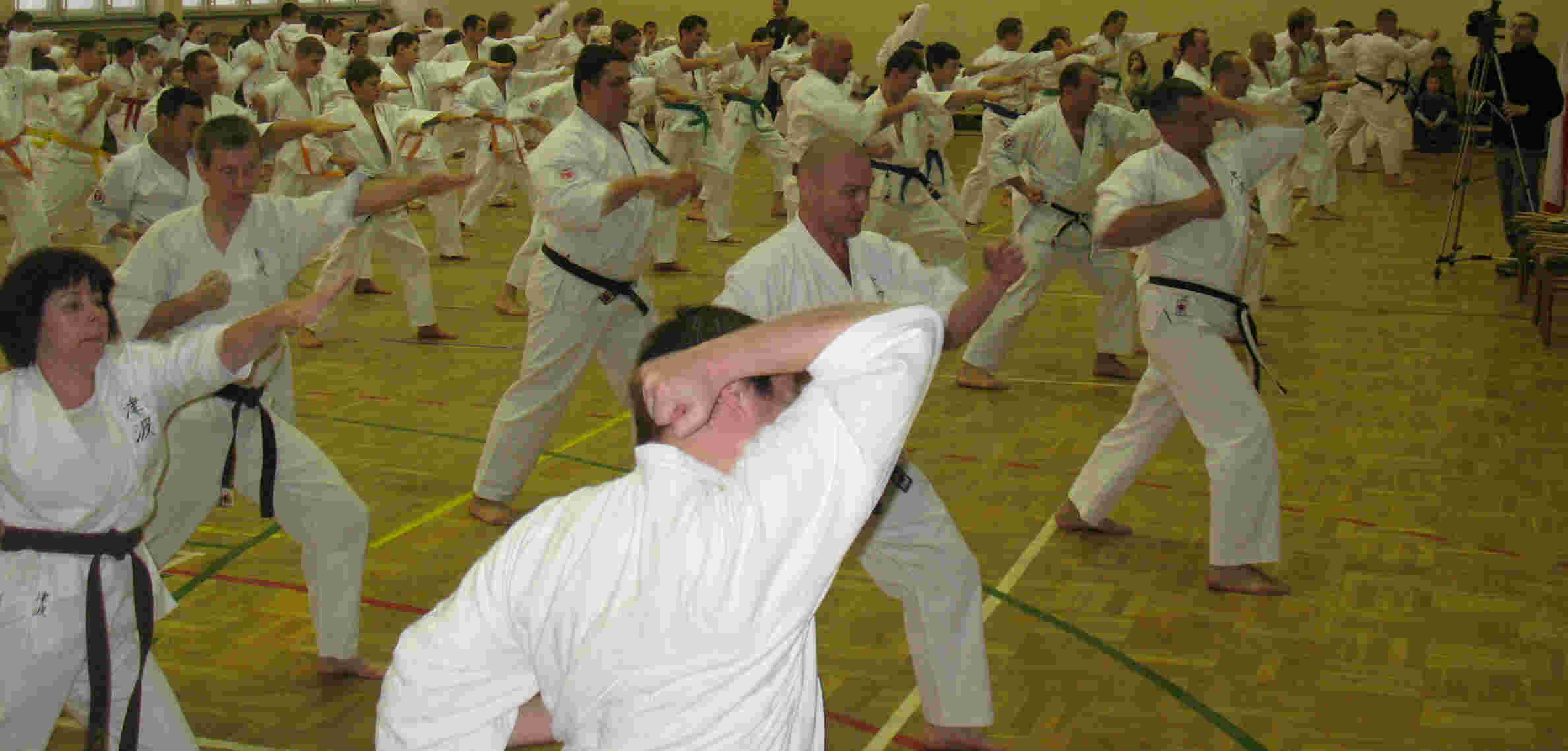 taikai taikai