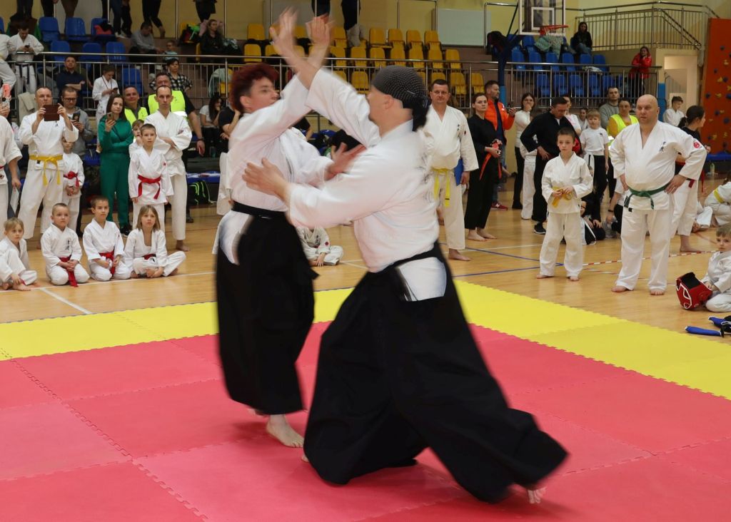Aikido