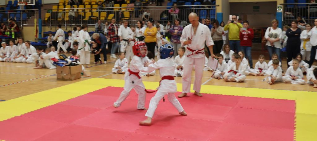 Karate Tsunami
