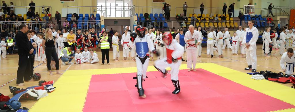 Karate Tsunami