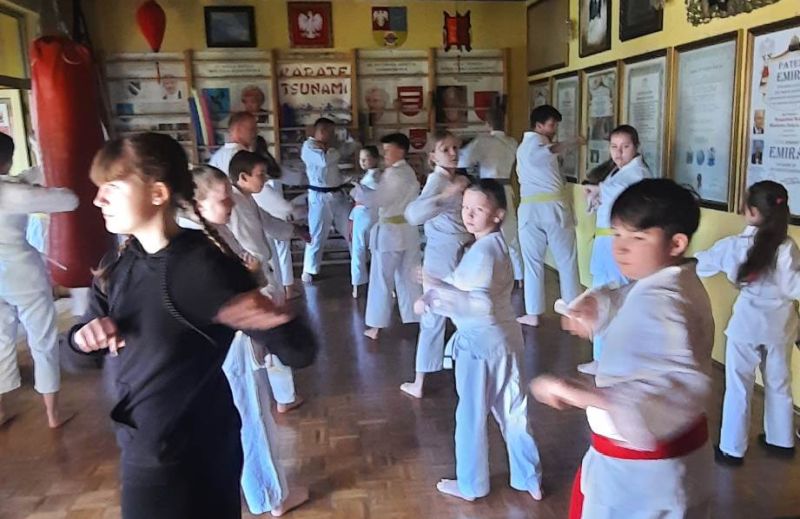 Karate Tsunami