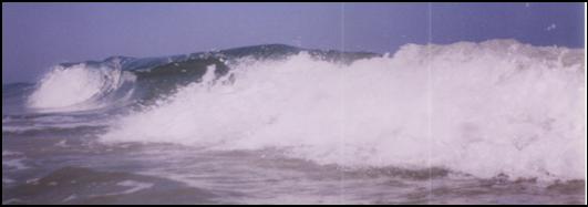 Tsunami Tsunami